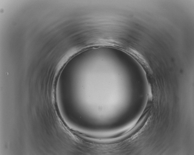 X0000064771188200602131309