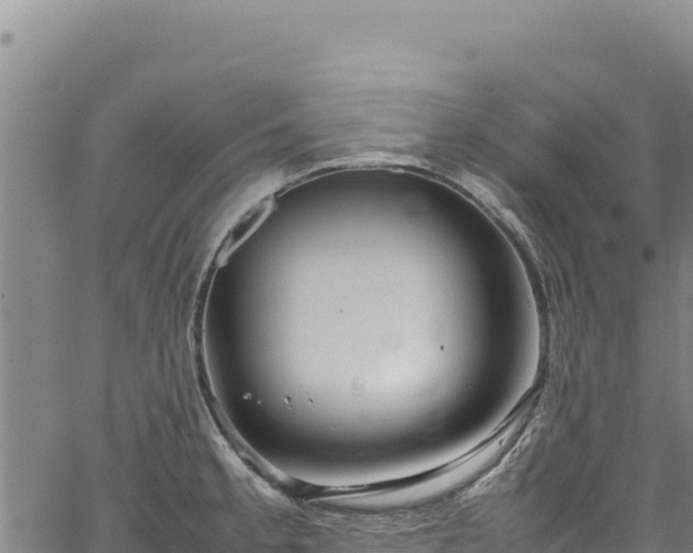 X0000064771189200602131309