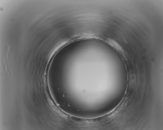 X0000064771190200602131309