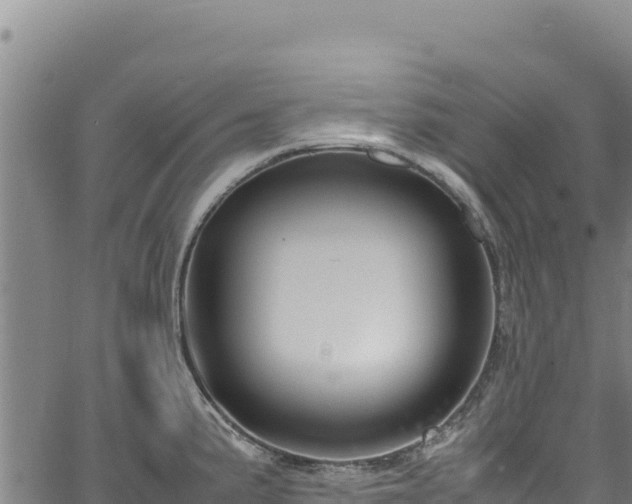 X0000064771191200602131309