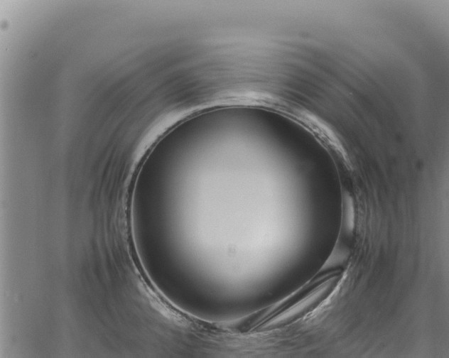 X0000064771192200602131309