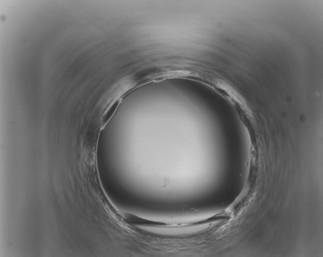 X0000064771193200602131309