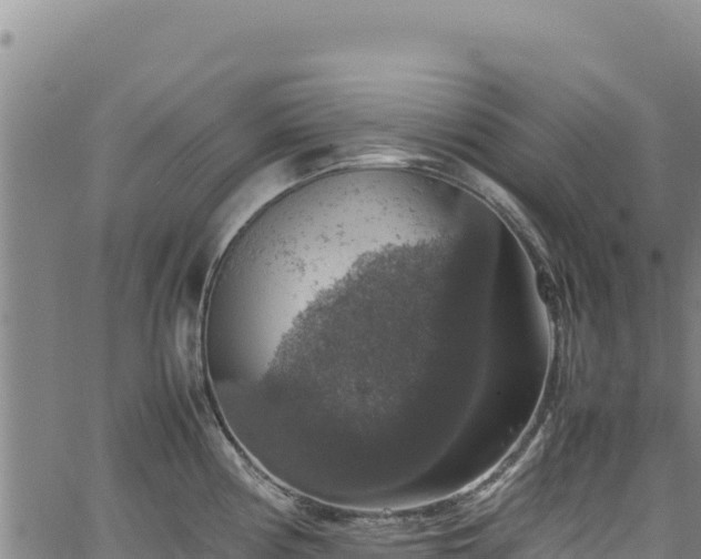 X0000064771194200602131309