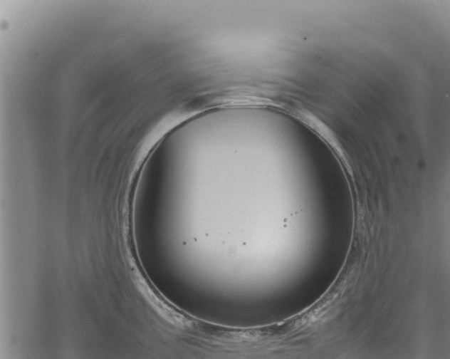 X0000064771195200602131309