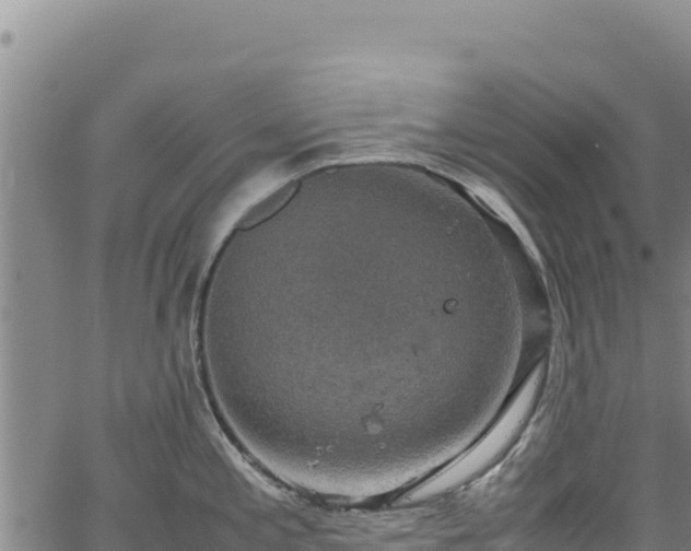 X0000064771197200602131309