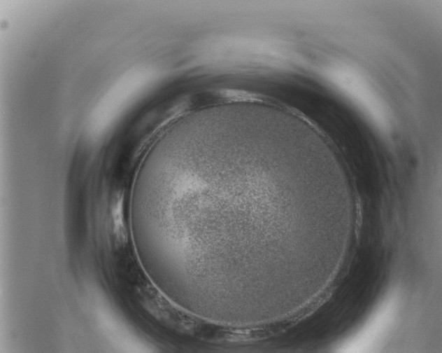 X0000064771198200602131309