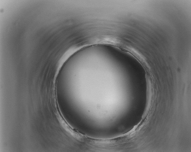 X0000064771200200602131308