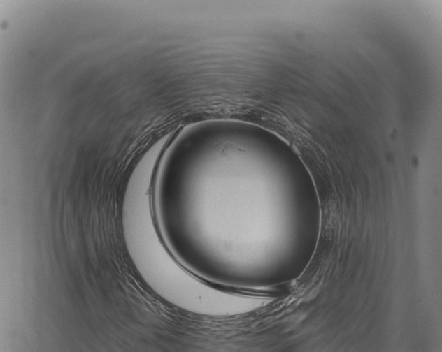 X0000064771202200602131308