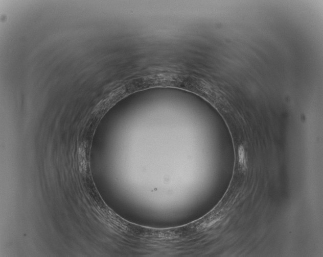 X0000064771203200602131308