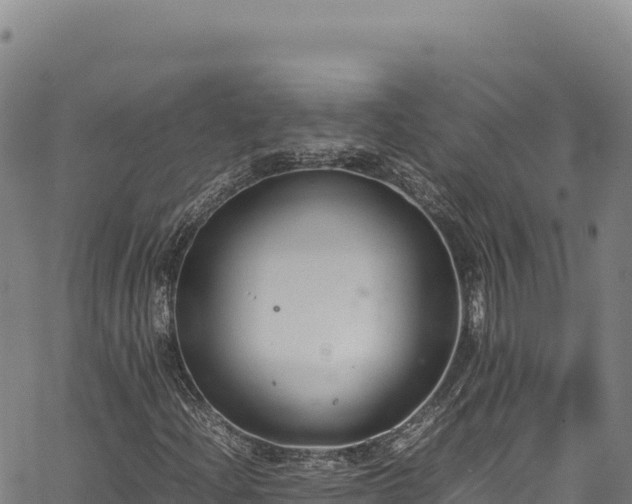 X0000064771204200602131308