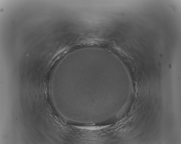 X0000064771206200602131308