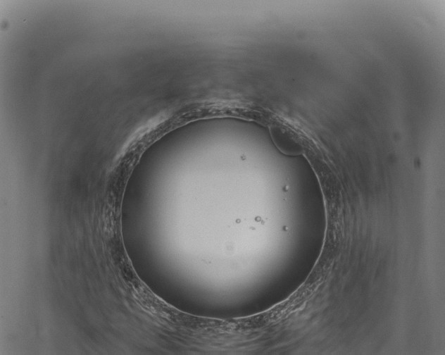 X0000064771207200602131308