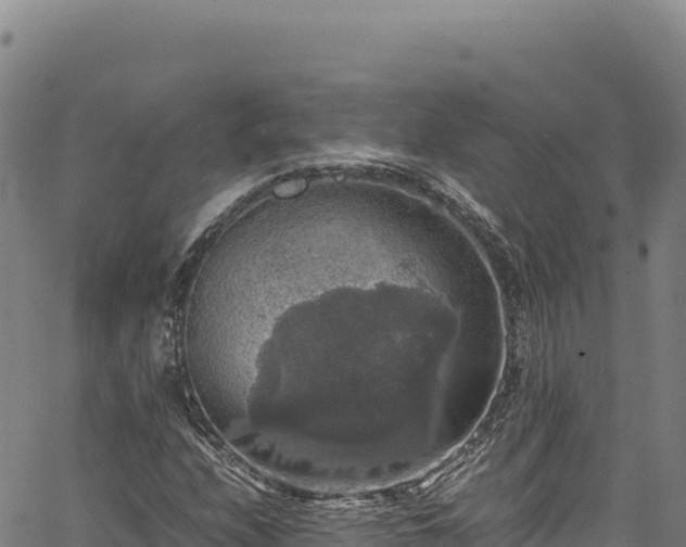 X0000064771208200602131308