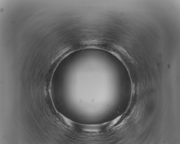 X0000064771209200602131308