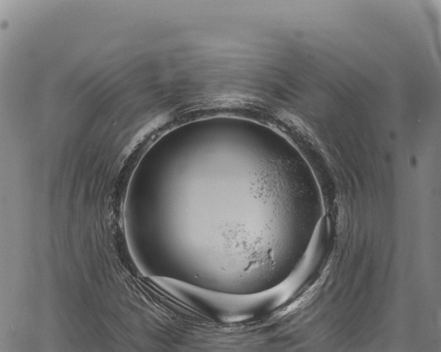 X0000064771210200602131308