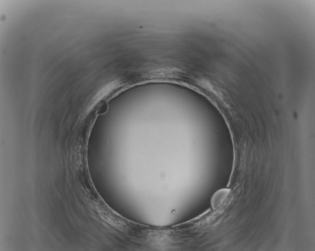 X0000064771211200602131308