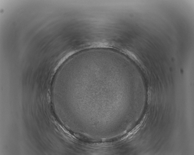 X0000064771212200602131308