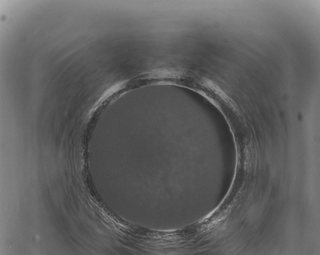 X0000064771213200602131308