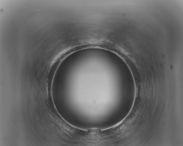 X0000064771214200602131308