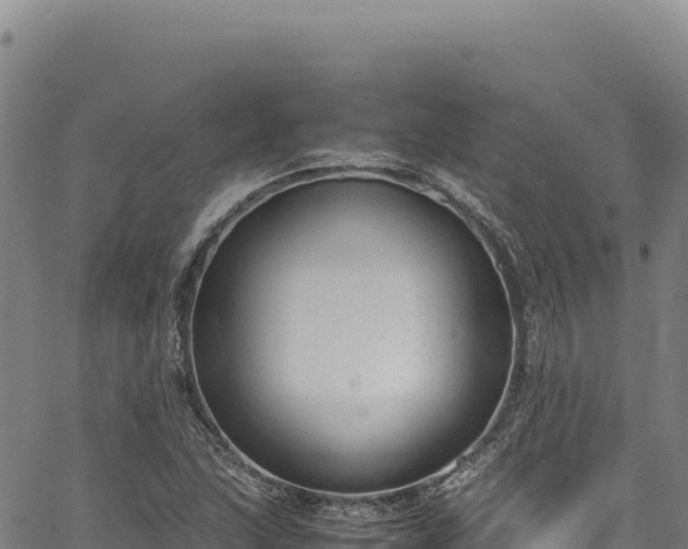 X0000064771215200602131308