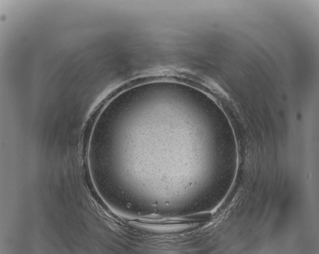 X0000064771216200602131308