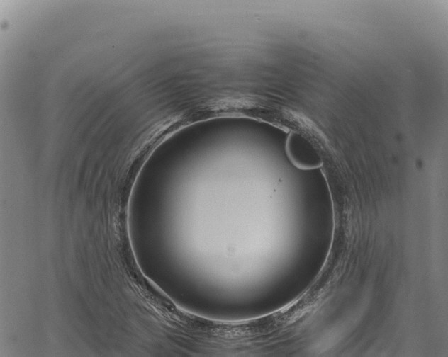 X0000064771217200602131308