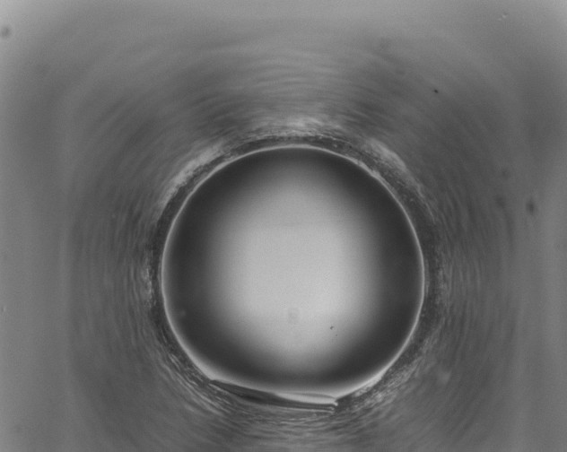 X0000064771218200602131308