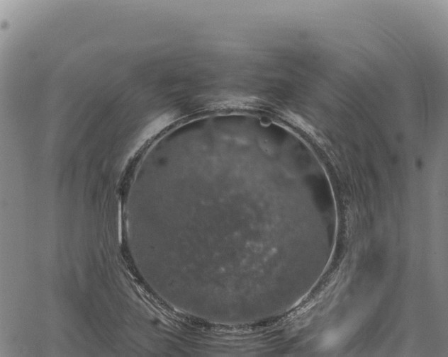 X0000064771219200602131308