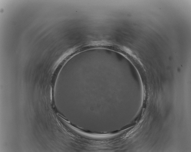 X0000064771221200602131308