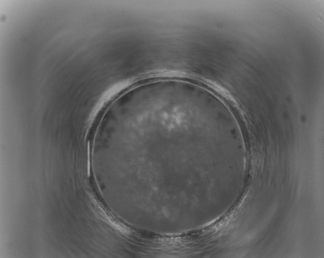 X0000064771223200602131308