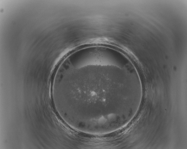 X0000064771224200602131308