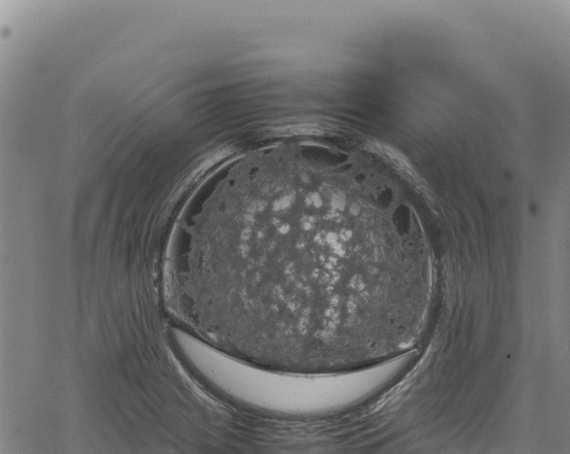 X0000064771225200602131308