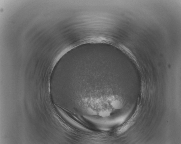 X0000064771226200602131308