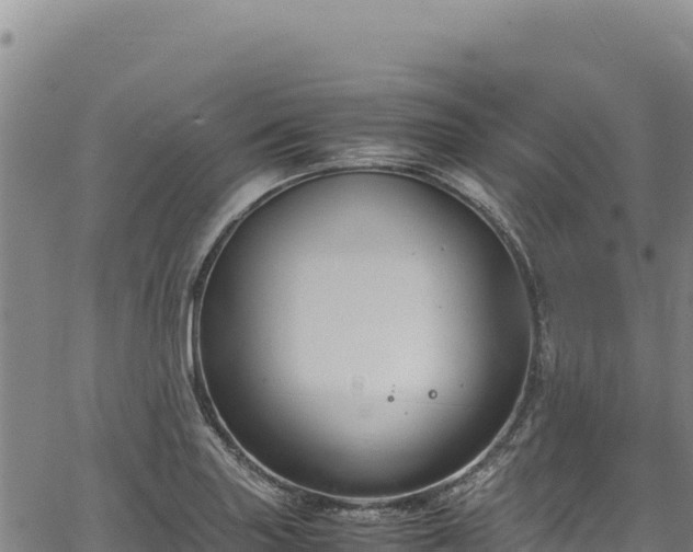 X0000064771227200602131308