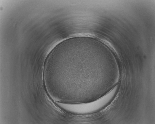 X0000064771228200602131308