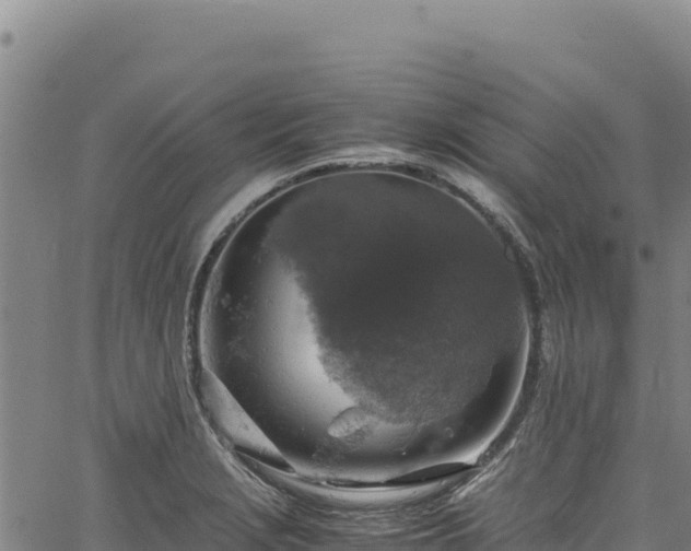 X0000064771229200602131308