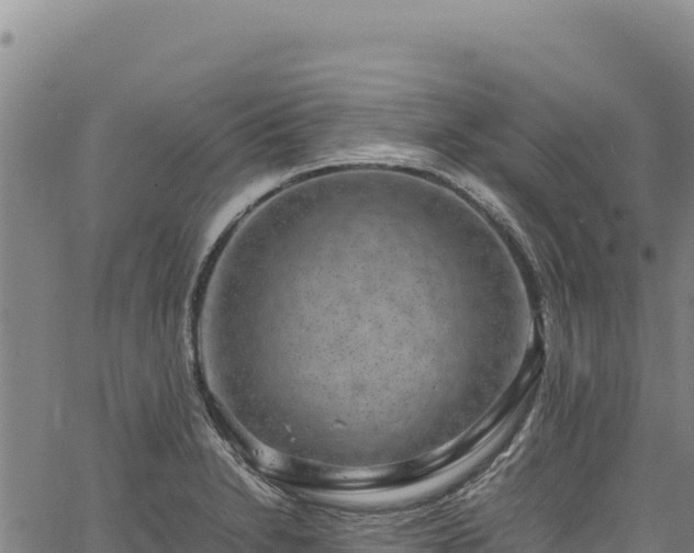 X0000064771230200602131308