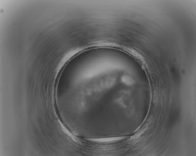 X0000064771231200602131308