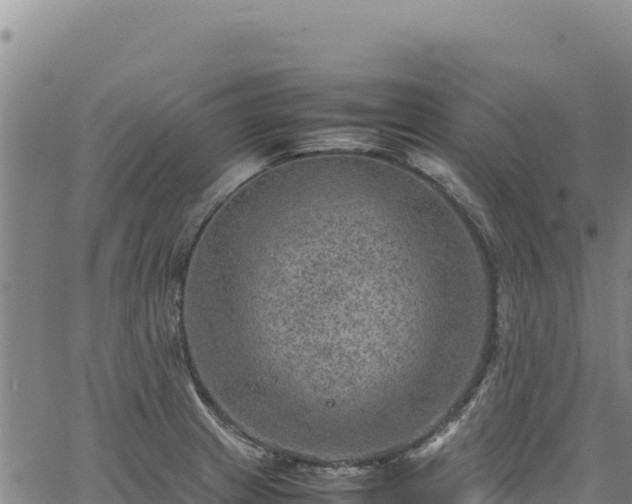 X0000064771233200602131308