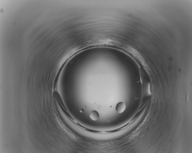 X0000064771234200602131308