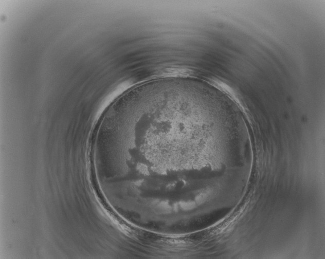 X0000064771235200602131308