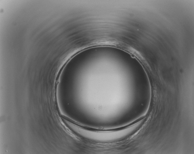 X0000064771236200602131308