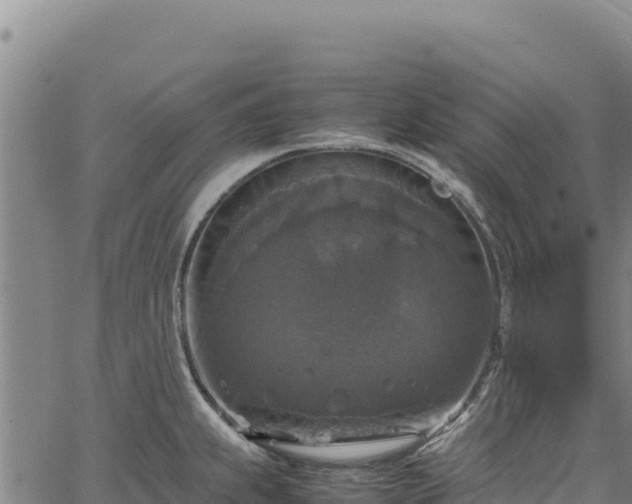 X0000064771239200602131308