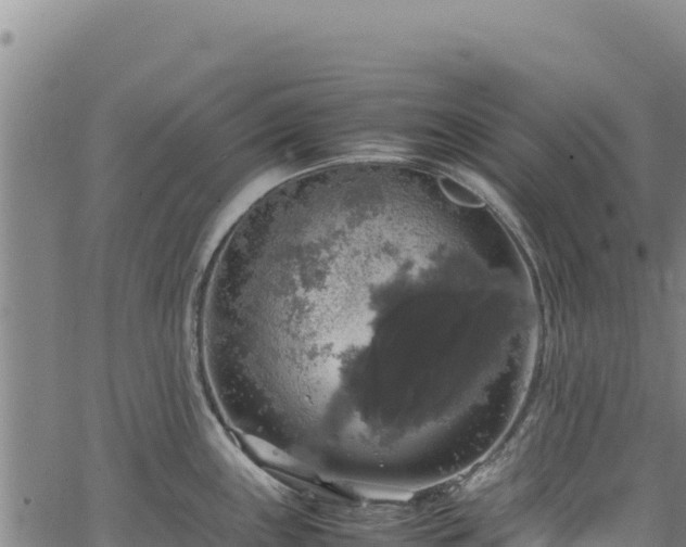 X0000064771243200602131308