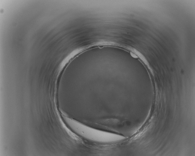 X0000064771245200602131308