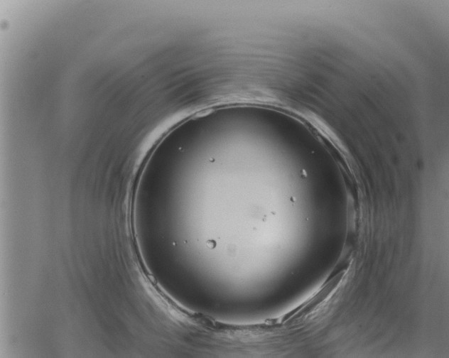 X0000064771246200602131308