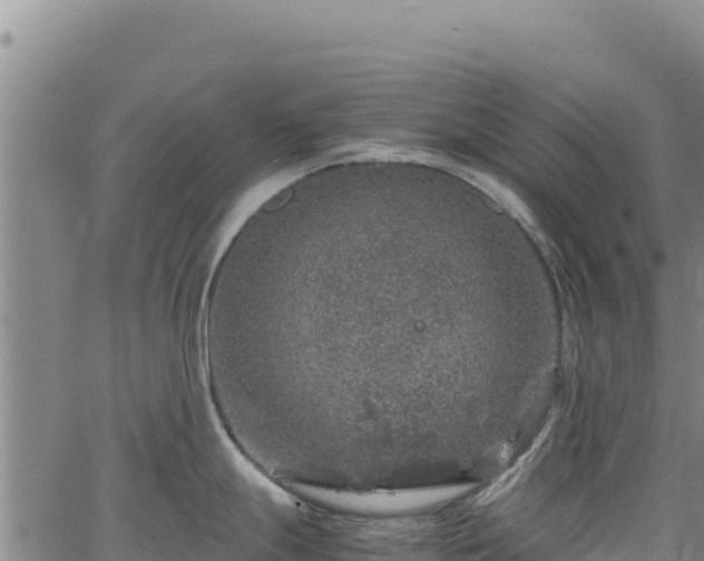 X0000064771247200602131308