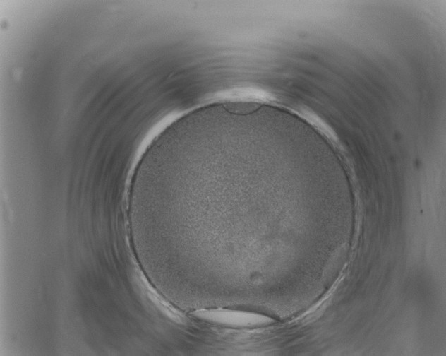 X0000064771248200602131308