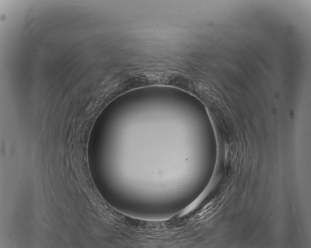 X0000064771249200602131308