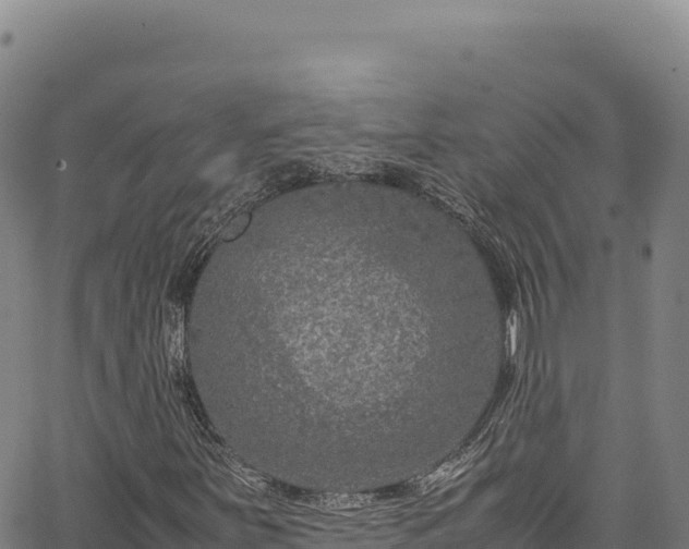 X0000064771251200602131308